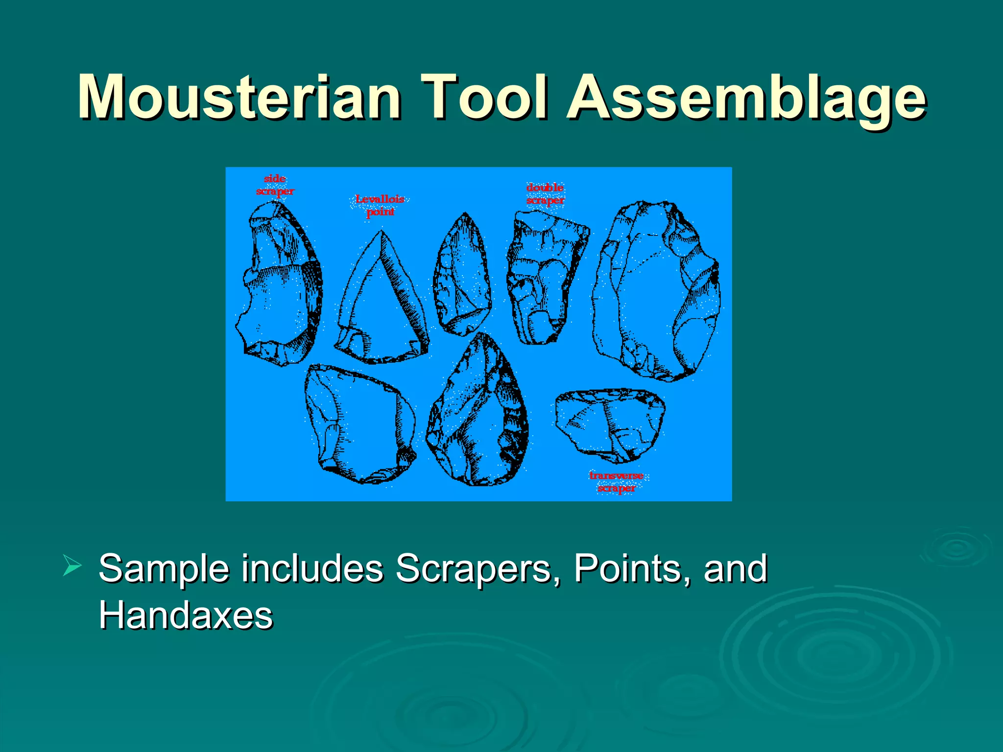 Mousterian Tool Assemblage Sample includes Scrapers, Points, and Handaxes 
