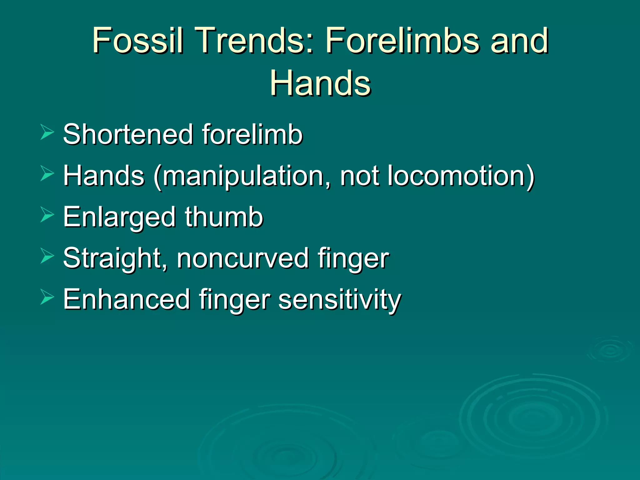 Fossil Trends: Forelimbs and Hands Shortened forelimb Hands (manipulation, not locomotion) Enlarged thumb Straight, noncurved finger Enhanced finger sensitivity 