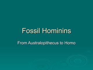 Fossil Hominins From Australopithecus to Homo 