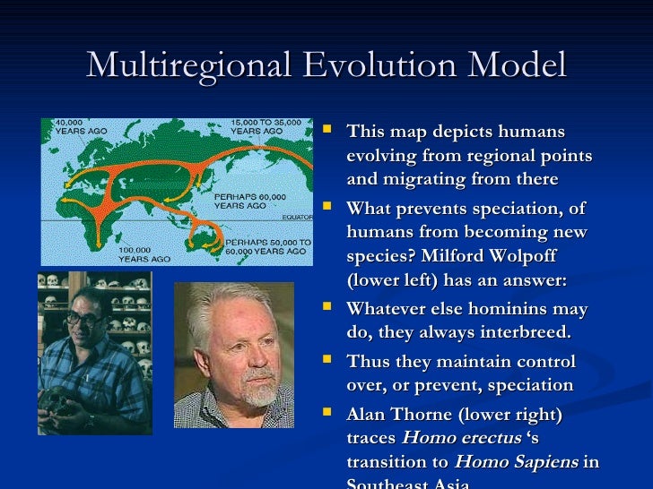 multiregional thesis Multi-regional continuity: the fossil evidence with regards to the multi-regional continuity model of human evolution, there is without a doubt a preponderance of fossil data that supports. multiregional thesis Multi-regional continuity: the fossil evidence with regards to the multi-regional continuity model of human evolution, there is without a doubt a preponderance of fossil data that supports.