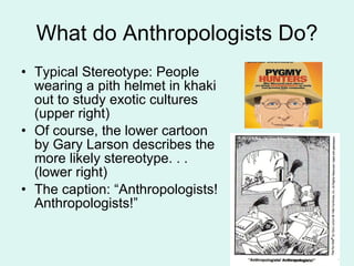 What do Anthropologists Do? Typical Stereotype: People wearing a pith helmet in khaki out to study exotic cultures (upper right) Of course, the lower cartoon by Gary Larson describes the more likely stereotype. . . (lower right) The caption: “Anthropologists! Anthropologists!” 