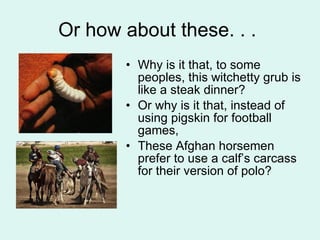 Or how about these. . .  Why is it that, to some peoples, this witchetty grub is like a steak dinner?  Or why is it that, instead of using pigskin for football games,  These Afghan horsemen prefer to use a calf’s carcass for their version of polo? 