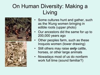 On Human Diversity: Making a Living Some cultures hunt and gather, such as the !Kung women bringing in edible roots (upper photo)  Our ancestors did the same for up to 200,000 years ago Other peoples farm, such as these Iroquois women (lower drawing) Still others may raise  only  cattle, horses, or other large animals Nowadays most of us do nonfarm work full time (sound familiar?) 