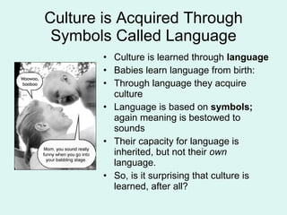 Culture is Acquired Through Symbols Called Language Culture is learned through  language Babies learn language from birth: Through language they acquire culture Language is based on  symbols;  again meaning is bestowed to sounds Their capacity for language is inherited, but not their  own  language. So, is it surprising that culture is learned, after all? 