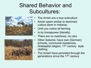 Shared Behavior and Subcultures:  The Amish are a true subculture Amish seem similar to dominant culture (farm in Indiana) Until you notice all farming Is by horsepower (literally) There are no machines, no cars Other features: have own (German) schools, communal residences, Anabaptist religion, 17 th  century  style clothing The Amish have persisted through the generations since the 17 th  century 
