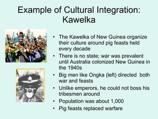 Example of Cultural Integration: Kawelka The Kawelka of New Guinea organize their culture around pig feasts held every decade There is no state; war was prevalent until Australia colonized New Guinea in the 1940s Big men like Ongka (left) directed  both war and feasts Unlike emperors, he could not boss his tribesmen around Population was about 1,000 Pig feasts replaced warfare 
