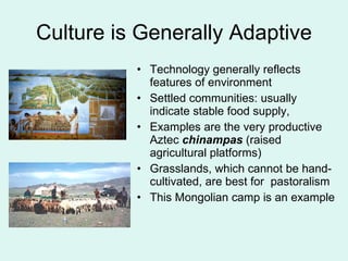 Culture is Generally Adaptive Technology generally reflects features of environment Settled communities: usually indicate stable food supply,  Examples are the very productive Aztec  chinampas  (raised agricultural platforms) Grasslands, which cannot be hand-cultivated, are best for  pastoralism This Mongolian camp is an example 