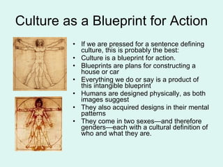 Culture as a Blueprint for Action If we are pressed for a sentence defining culture, this is probably the best: Culture is a blueprint for action. Blueprints are plans for constructing a house or car Everything we do or say is a product of this intangible blueprint Humans are designed physically, as both images suggest They also acquired designs in their mental patterns They come in two sexes—and therefore genders—each with a cultural definition of who and what they are.  