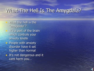 What The Hell Is The Amygdala? What the hell is the “amygdala”? It’s a part of the brain which controls your anxiety levels People with anxiety disorder have it set higher than normal It’s not dangerous and it cant harm you… 