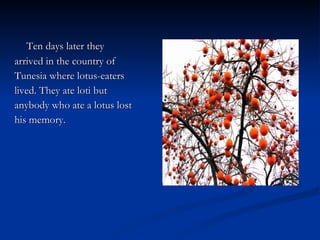 Ten days later they arrived in the country of  Tunesia where lotus-eaters  lived. They ate loti but  anybody who ate a lotus lost his memory. 