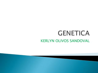 GENETICA,[object Object],KERLYN OLIVOS SANDOVAL,[object Object]