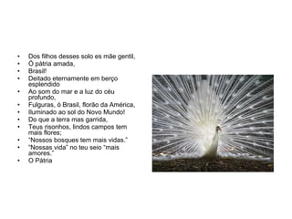 Dos filhos desses solo es mãe gentil,  Ó pátria amada, Brasil! Deitado eternamente em berço esplendido Ao som do mar e a luz do céu profundo, Fulguras, ó Brasil, florão da América, Iluminado ao sol do Novo Mundo! Do que a terra mas garrida, Teus risonhos, lindos campos tem mais flores; “ Nossos bosques tem mais vidas.” “ Nossas vida” no teu seio “mais amores.” O Pátria  