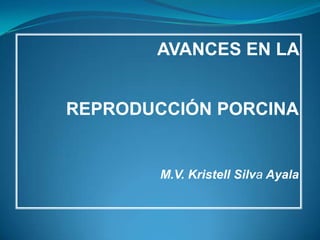 AVANCES EN LA  REPRODUCCIÓN PORCINA M.V. Kristell Silva Ayala 
