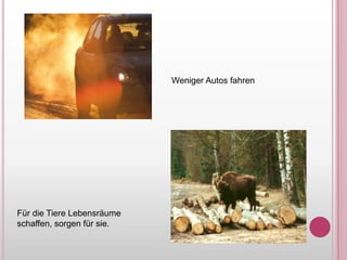 Weniger Autos fahrenFür die TiereLebensräumeschaffen, sorgenfürsie.