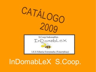 CATÁ
       LOGO
      2 00 9


InDomabLeX S.Coop.
 