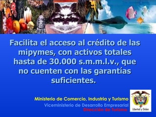 Facilita el acceso al crédito de las mipymes, con activos totales hasta de 30.000 s.m.m.l.v., que no cuenten con las garantías suficientes.  