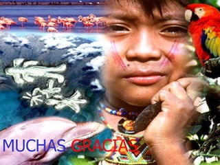 MUCHAS  GRACIAS 
