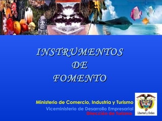 INSTRUMENTOS  DE  FOMENTO  