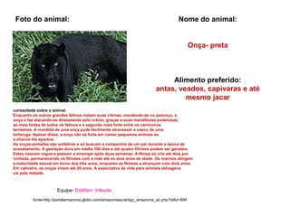 Foto do animal: Nome do animal: Onça- preta Alimento preferido: antas, veados, capivaras e até mesmo jacar curiosidade sobre o animal: Enquanto os outros grandes felinos matam suas vítimas, mordendo-as no pescoço, a onça o faz atacando-as diretamente pelo crânio, graças a suas mandíbulas poderosas, as mais fortes de todos os felinos e a segunda mais forte entre os carnívoros terrestres. A mordida de uma onça pode facilmente atravessar o casco de uma  tartaruga. Apesar disso, a onça não se furta em comer pequenos animais se a chance lhe aparece. As onças-pintadas são solitárias e só buscam a companhia de um par durante a época de acasalamento. A gestação dura em média 100 dias e até quatro filhotes podem ser gerados.  Estes nascem cegos e passam a enxergar após duas semanas. A fêmea só cria até dois por  ninhada, permanecendo os filhotes com a mãe até os dois anos de idade. Os machos atingem a maturidade sexual em torno dos três anos, enquanto as fêmeas a alcançam com dois anos.  Em cativeiro, as onças vivem até 20 anos. A expectativa de vida para animais selvagens  cai pela metade. fonte-http://portalamazonia.globo.com/amazoniaaz/artigo_amazonia_az.php?idAz=894 Equipe-  Estéfani ;Irileuda 