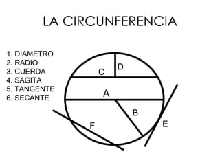 LA CIRCUNFERENCIA ,[object Object],[object Object],[object Object],[object Object],[object Object],[object Object],A B C D E F 