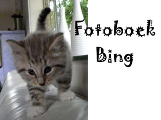 Fotoboek Bing 