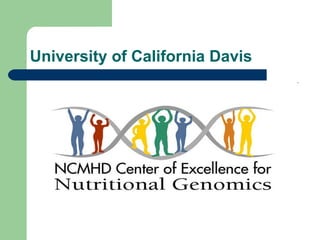 University of California Davis 