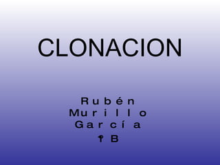 CLONACION Rubén Murillo García 1ºB 
