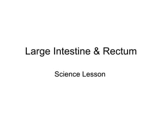Large Intestine & Rectum Science Lesson  