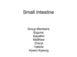 Small Intestine Group Members: Suguna  Gayathri Matthew Cheryl Valerie Hyeon Kyeong 
