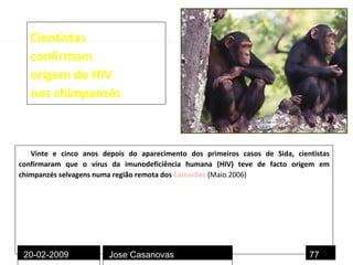 Cientistas  confirmam  origem do HIV  nos chimpanzés Vinte e cinco anos depois do aparecimento dos primeiros casos de Sida, cientistas confirmaram que o vírus da imunodeficiência humana (HIV) teve de facto origem em chimpanzés selvagens numa região remota dos   Camarões   (Maio.2006) 20-02-2009 Jose Casanovas 