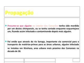 Propagação Presume-se que alguém  no interior dos Camarões   tenha sido mordido por um destes chimpanzés, ou se tenha cortado enquanto esquartejava um, ficando assim infectado e contaminando depois mais alguém. Foi então que através do rio Sanaga, importante via comercial para o transporte de matérias-primas para as áreas urbanas, alguém infectado se   instalou em Kinshasa, area urbana mais proxima dos Camaroes na decada de 30. 20-02-2009 Jose Casanovas 