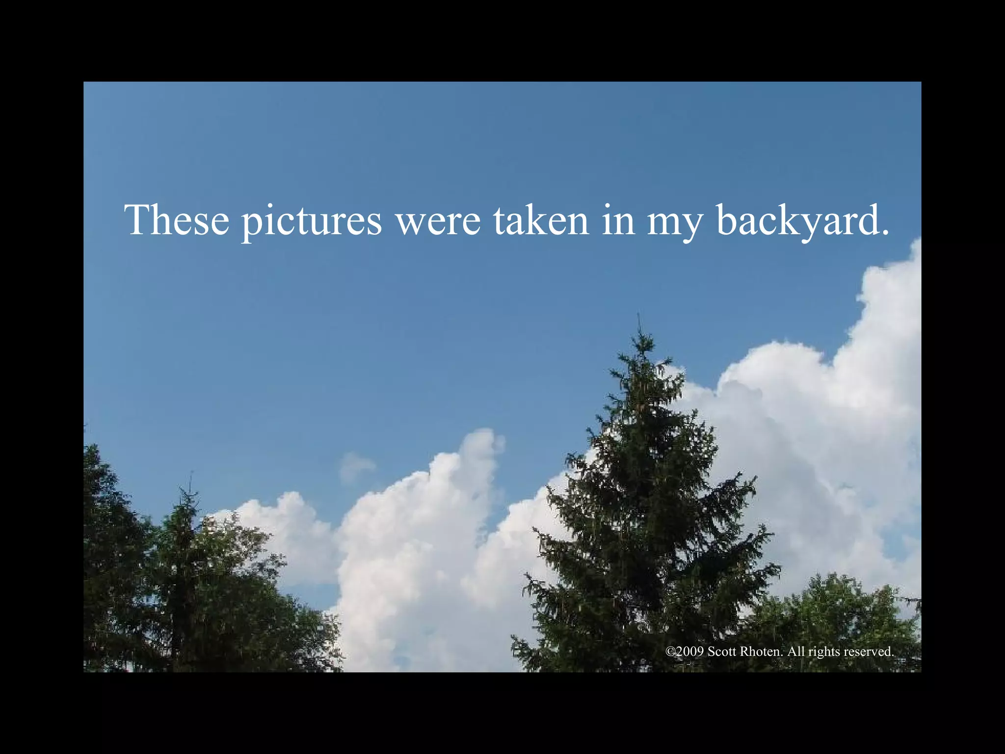 My Backyard: A Photographic Exploration By Scott Rhoten