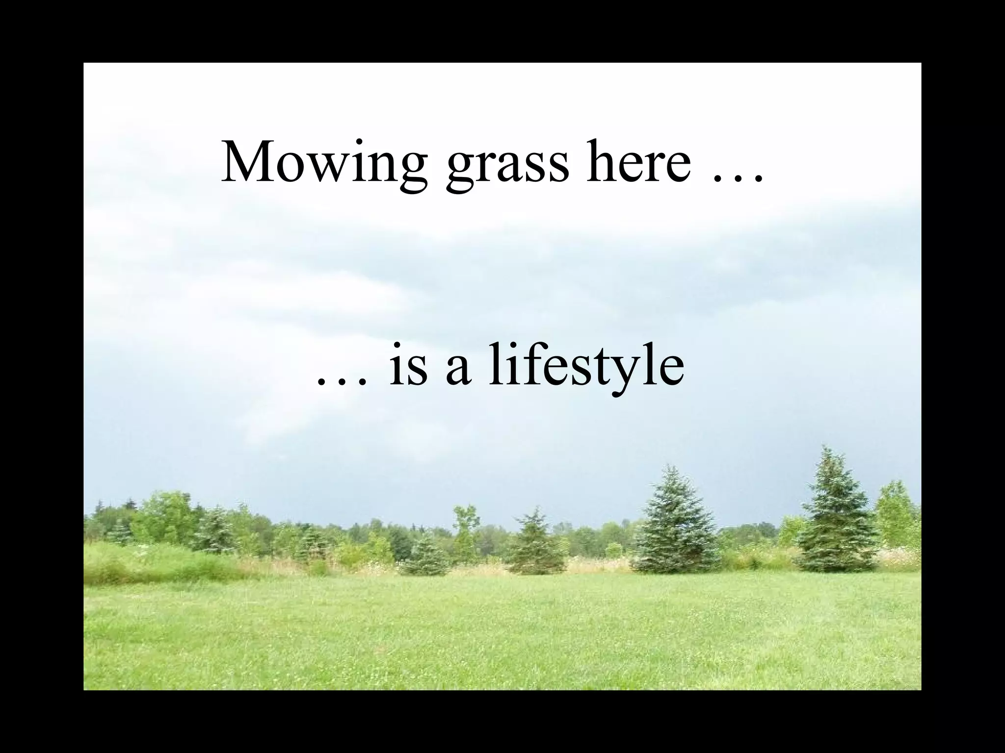 Mowing grass is a lifestyle!