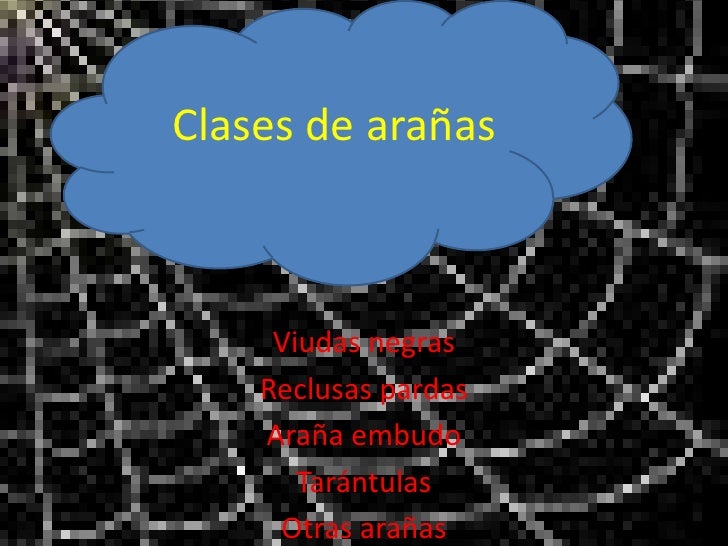 La semilla del lino y el clavel de los parásitos las revocaciones