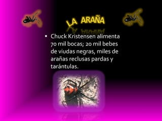 Ahi viene la araña