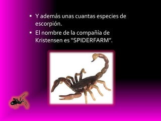 Ahi viene la araña