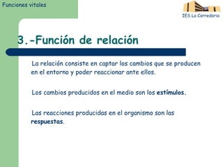 3.-Función de relación La relación consiste en captar los cambios que se producen en el entorno y poder reaccionar ante ellos. Los cambios producidos en el medio son los  estímulos. Las reacciones producidas en el organismo son las  respuestas . IES La Corredoria Funciones vitales 