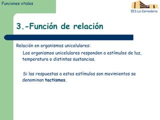 3.-Función de relación Relación en organismos unicelulares: Los organismos unicelulares responden a estímulos de luz, temperatura o distintas sustancias. Si las respuestas a estos estímulos son movimientos se denominan  tactismos . Funciones vitales IES La Corredoria 