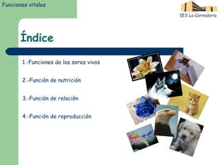 Índice 1.-Funciones de los seres vivos 2.-Función de nutrición 3.-Función de relación  4.-Función de reproducción IES La Corredoria Funciones vitales 