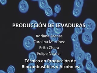 PRODUCCIÓN DE LEVADURAS Adriana Arenas Carolina Martínez Erika Chara Felipe Nasner Técnico en Producción de Biocombustibles y Alcoholes 