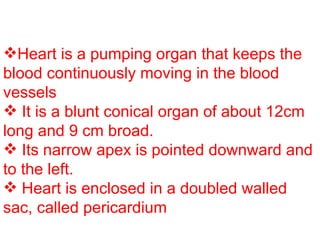 Heart is a pumping organ that keeps the blood continuously moving in the blood vessels It is a blunt conical organ of about 12cm long and 9 cm broad. Its narrow apex is pointed downward and to the left. Heart is enclosed in a doubled walled sac, called pericardium  