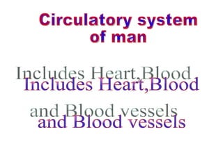 Circulatory system of man Includes Heart,Blood  and Blood vessels  