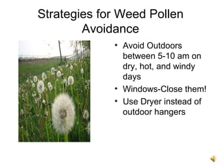 Approaches to Allergies | PPT