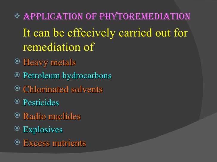 phytoextraction or phytoremediation essay Abstract phytoremediation is the natural ability of certain plants to bioaccumulate, degrade, or render harmless contaminants in soils, water, or air. phytoextraction or phytoremediation essay Abstract phytoremediation is the natural ability of certain plants to bioaccumulate, degrade, or render harmless contaminants in soils, water, or air.