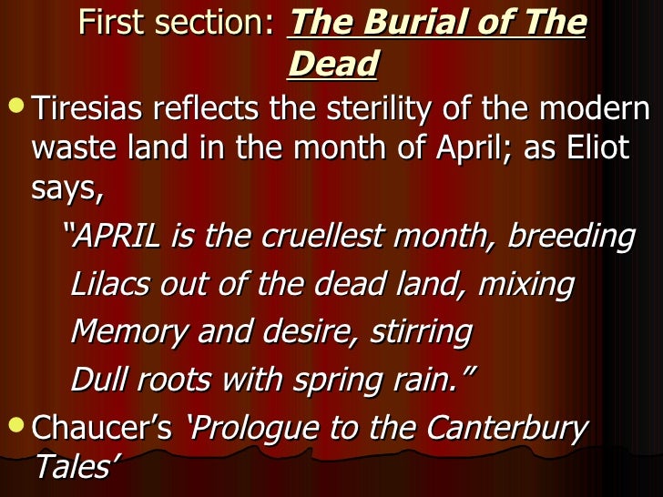 My Clips by Khuram Shehzad