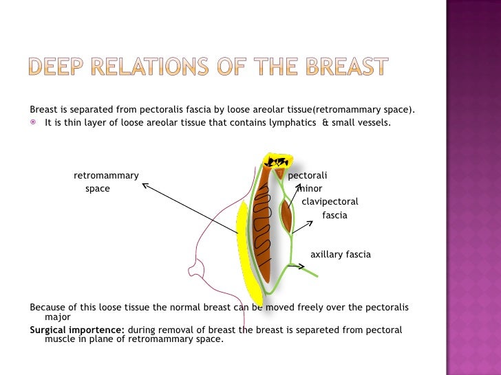 surgical anatomy of breast & management of advanced carcinoma breast