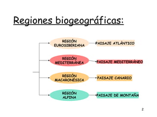 Regiones biogeográficas:
           REGIÓN
                        PAISAJE ATLÁNTICO
        EUROSIBERIANA


            REGIÓN
         MEDITERRÁNEA   PAISAJE MEDITERRÁNEO



           REGIÓN
                        PAISAJE CANARIO
        MACARONÉSICA


            REGIÓN
                        PAISAJE DE MONTAÑA
            ALPINA


                                             2
 