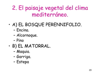 2. El paisaje vegetal del clima
          mediterráneo.
• A) EL BOSQUE PERENNIFOLIO.
  – Encina.
  – Alcornoque.
  – Pino
• B) EL MATORRAL.
  – Maquia.
  – Garriga.
  – Estepa
                                   29
 