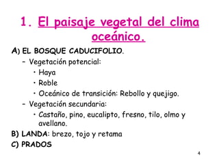 1. El paisaje vegetal del clima
              oceánico.
A) EL BOSQUE CADUCIFOLIO.
   – Vegetación potencial:
      • Haya
      • Roble
      • Oceánico de transición: Rebollo y quejigo.
   – Vegetación secundaria:
      • Castaño, pino, eucalipto, fresno, tilo, olmo y
        avellano.
B) LANDA: brezo, tojo y retama
C) PRADOS
                                                         4
 
