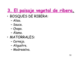 3. El paisaje vegetal de ribera.
• BOSQUES DE RIBERA:
 –   Aliso.
 –   Sauce.
 –   Chopo.
 –   Álamo.
• MATORRALES:
 – Cornejo.
 – Aligustre.
 – Madreselva.
                             53
 